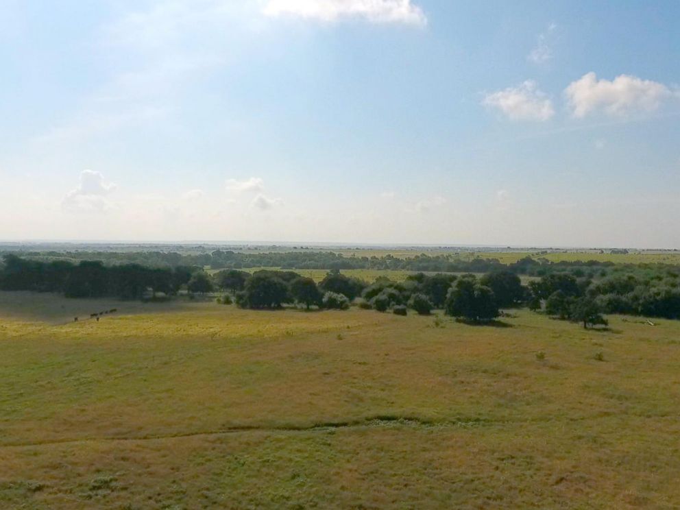 PHOTO: Jon Taggarts farm in Grandview, Texas. Soil health has helped the farm withstand drought.