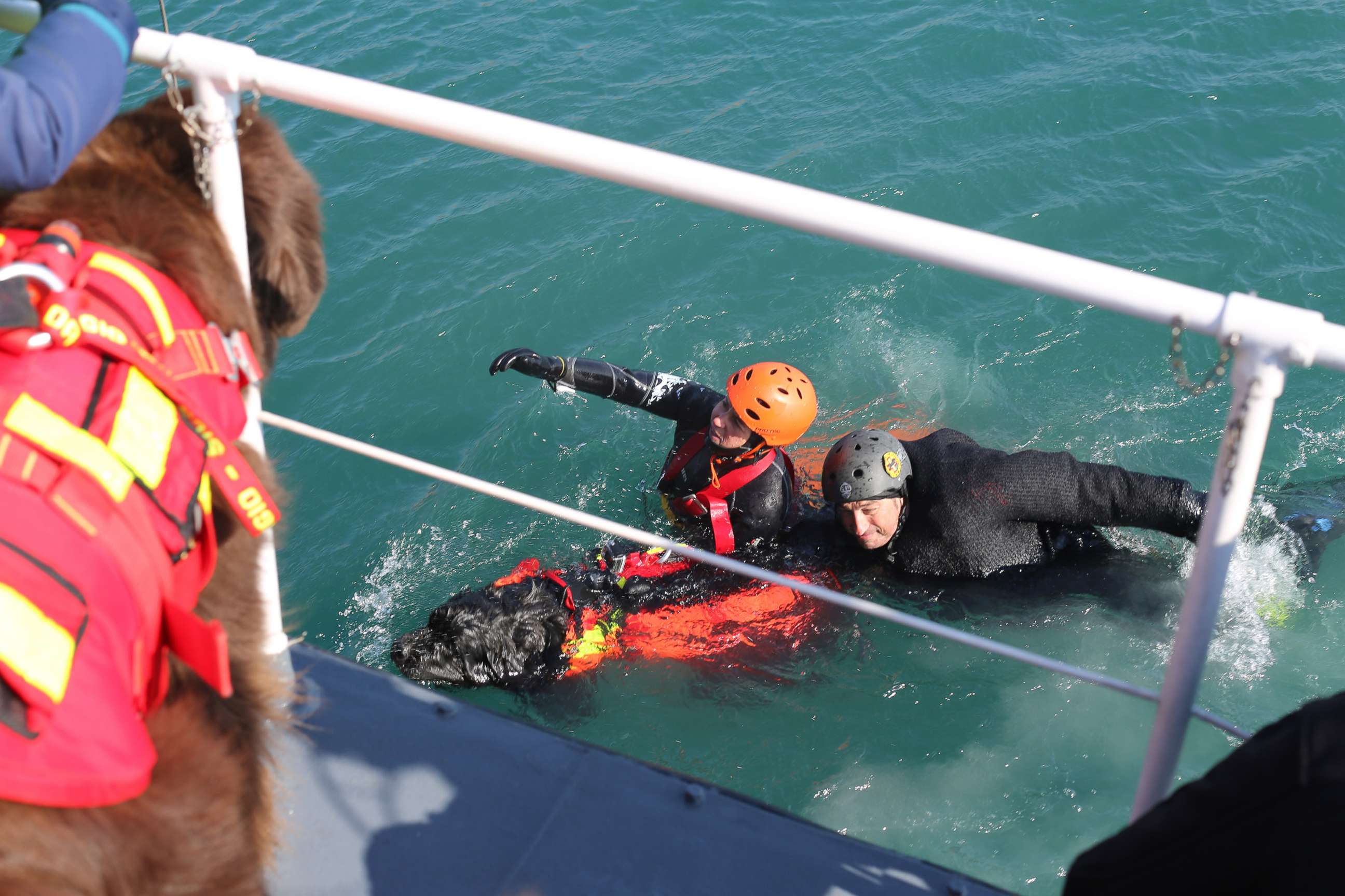 PHOTO: Handler Simonetta Andreoli and an exercise participant pictured being towed by her dog Reef. 