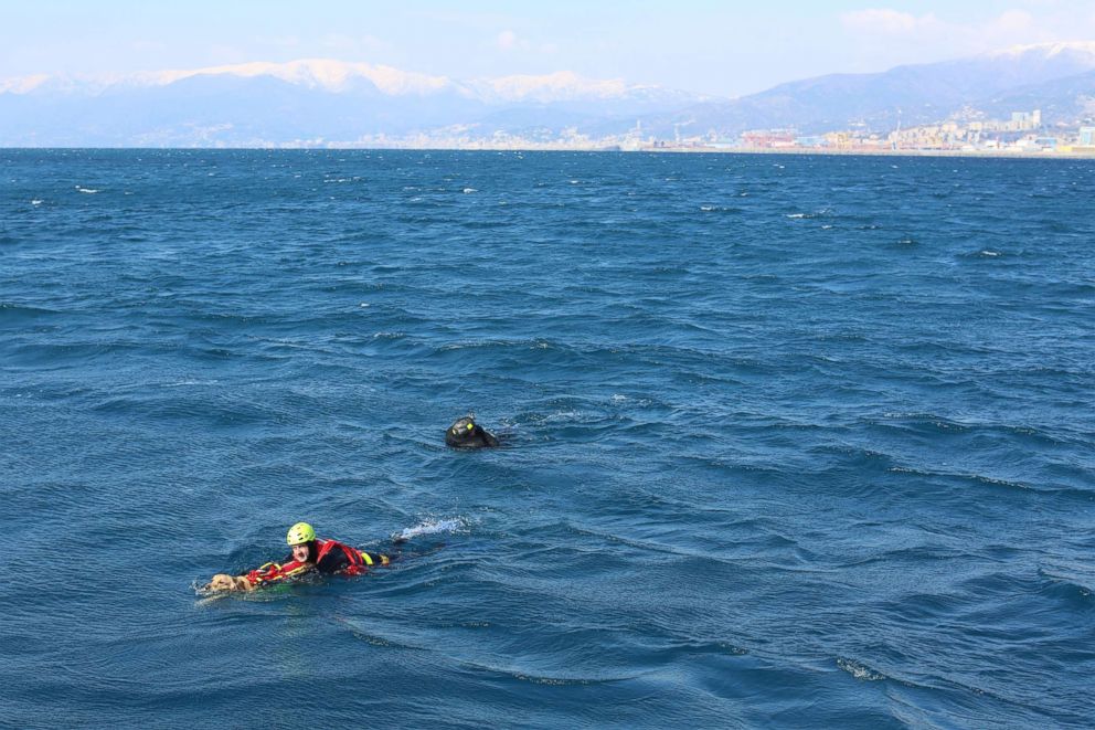 PHOTO: Dog and handler pictured performing water rescue exercise in Genoa, Italy as part of training with the Italian School for Rescue Dogs.