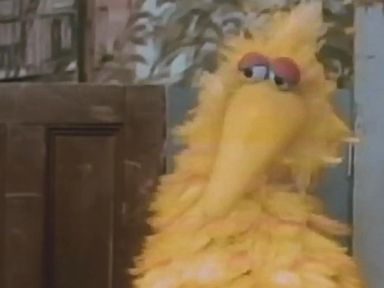 Insomniac Theater: 'I Am Big Bird'