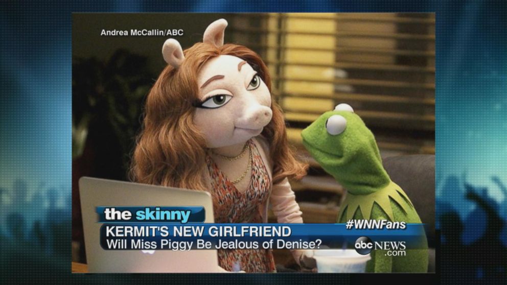 Kermit the Frog is Reportedly Dating Again After Split from Miss Piggy