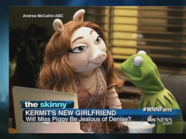 VIDEO: Kermit speaks out about his supposed relationship with "The Muppets" character Denise.