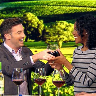 VIDEO: How to appropriately celebrate National Drink Wine Day 