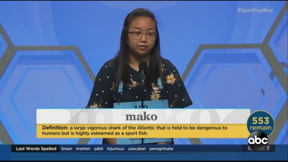 Video Scripps National Spelling Bee Begins Abc News