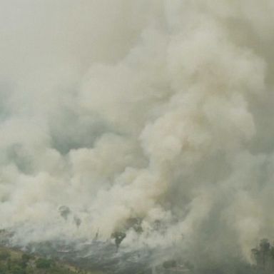 VIDEO: Amazon rainforest keeps burning