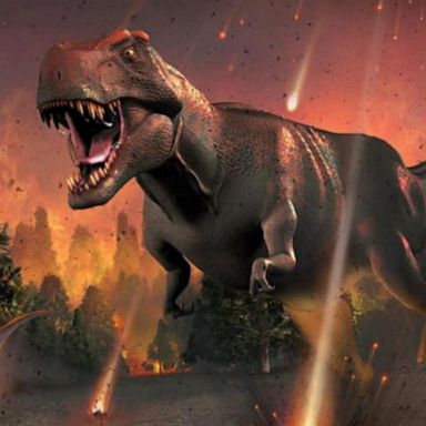 VIDEO: Asteroid as powerful as 10 billion WWII a-bombs may have wiped out dinosaurs