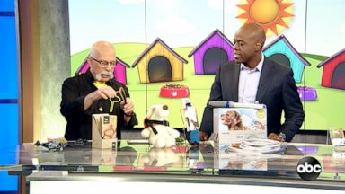 religion VIDEO: Pet Gadgets