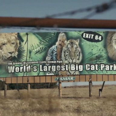 VIDEO: What is ‘Tiger King’?