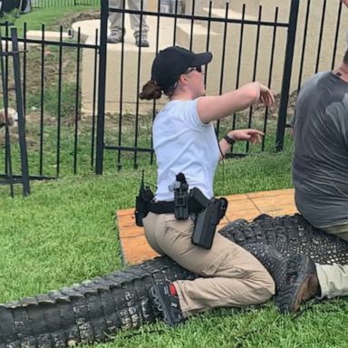 VIDEO: Close alligator encounter