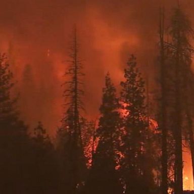 VIDEO: California firefighters battle wildfires fueled by record heat