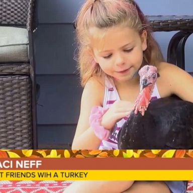 VIDEO: 6-year-old saves turkey from table