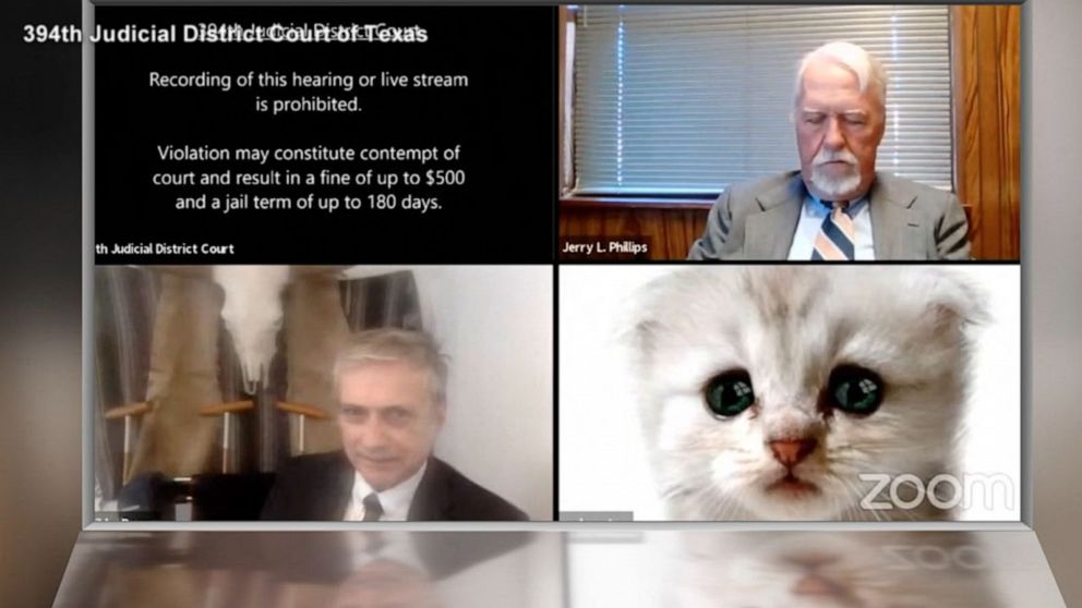 Cat lawyer deals zoom