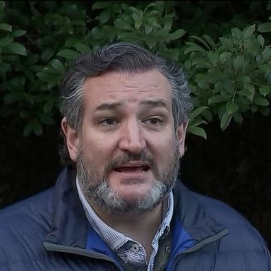 VIDEO: Ted Cruz responds to Mexico trip backlash