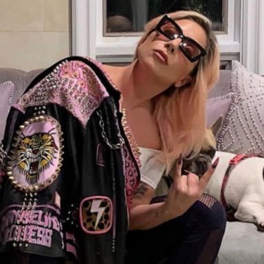 VIDEO: Gaga’s dogs stolen