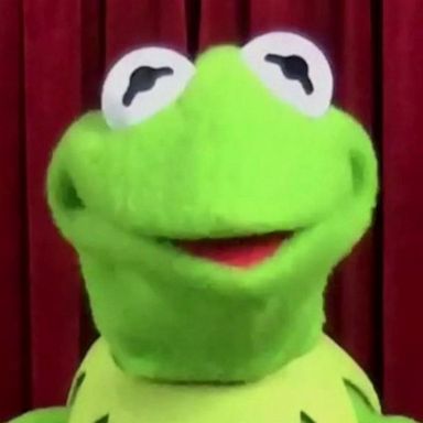 VIDEO: Kermit's big honor