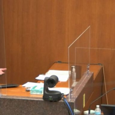 VIDEO: Testy testimony in Chauvin trial