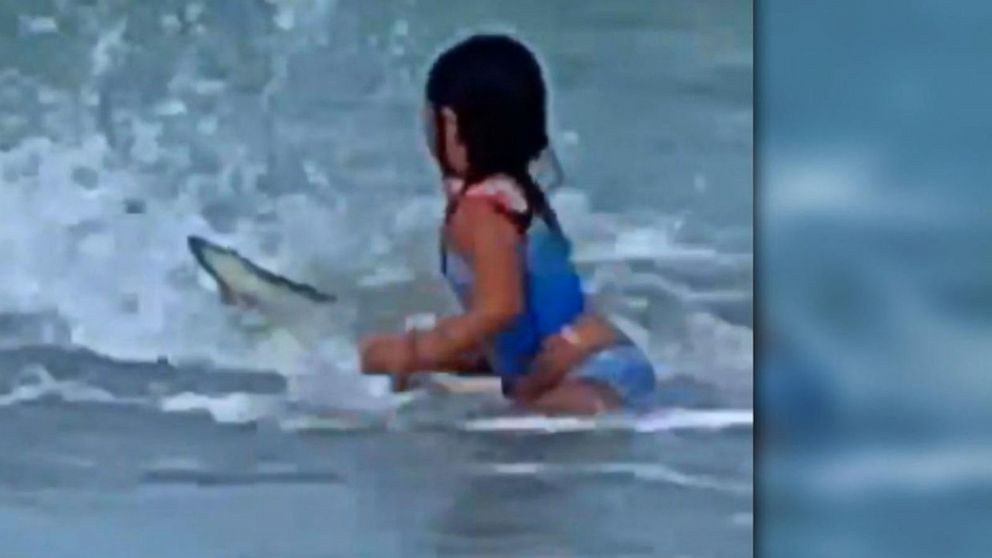 6 Year Old S Close Encounter With A Shark Video Abc News