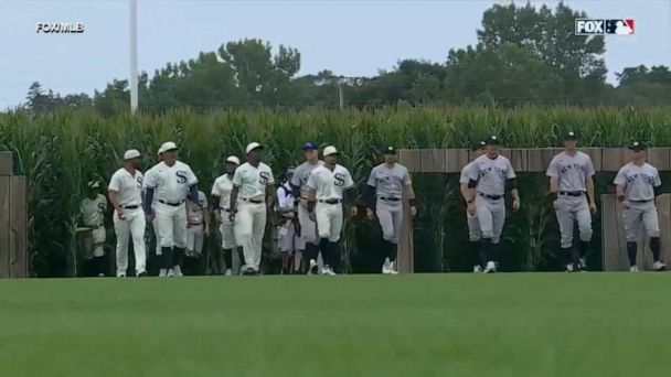 Video MLB recreates 'Field of Dreams' for ultimate throwback game - ABC News