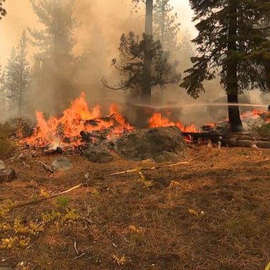 VIDEO: Mandatory evacuation orders around Lake Tahoe