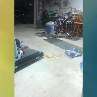 VIDEO: Gator in the garage!