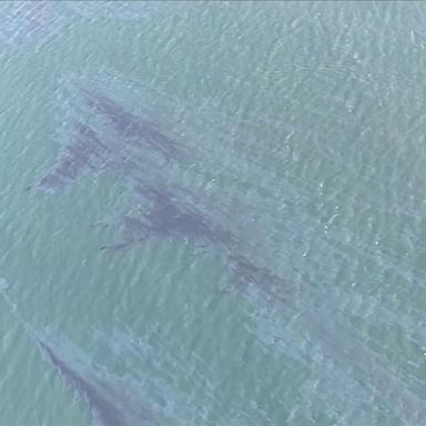 VIDEO: More beaches closed due to Southern California oil spill