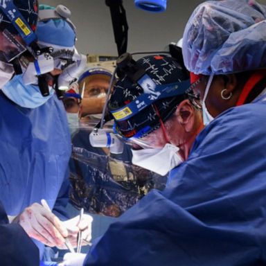 VIDEO: Surgeons transplant pig’s heart into terminal patient