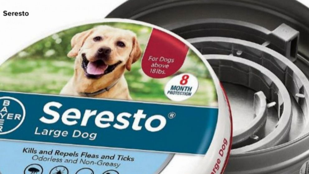 Seresto flea best sale collar dog large