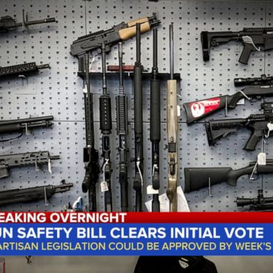 VIDEO: Gun reform plan passes initial Senate vote