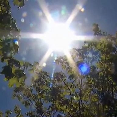 VIDEO: Rare heat wave hits Pacific Northwest