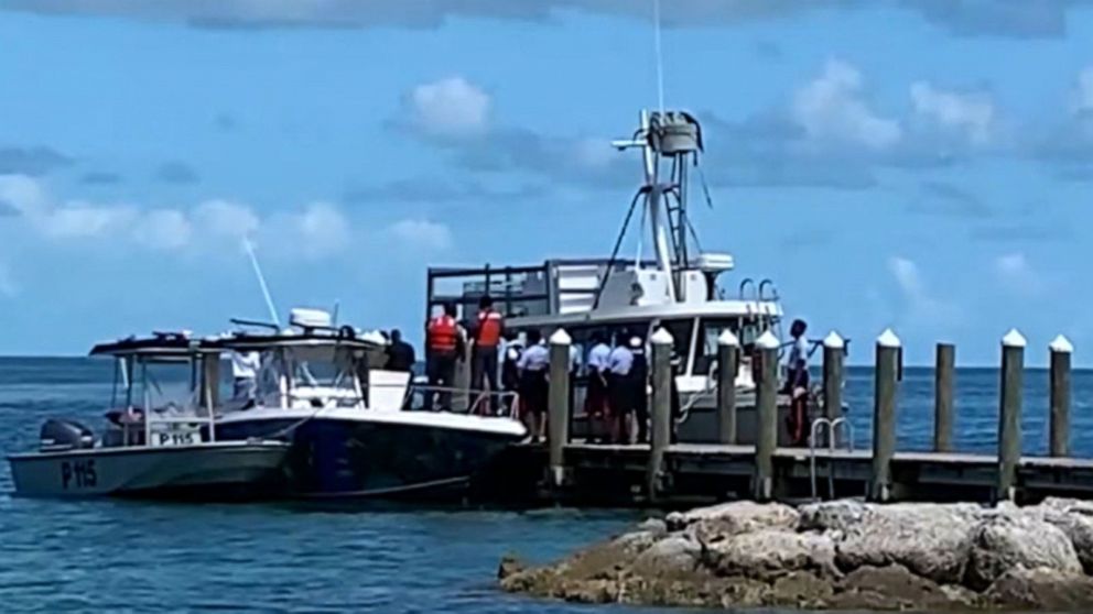 Video Deadly shark attack - ABC News