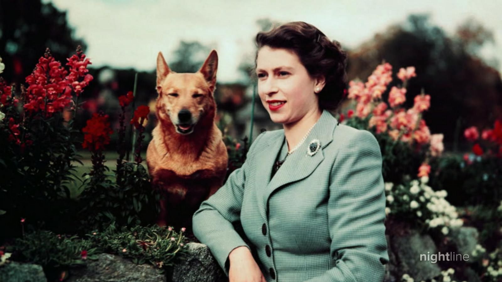 The Queen's lifelong passion for animals seen through the legacy of the  royal corgis - Good Morning America