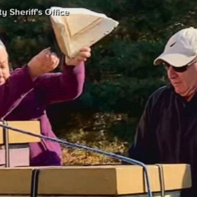 VIDEO: Protester armed with bees