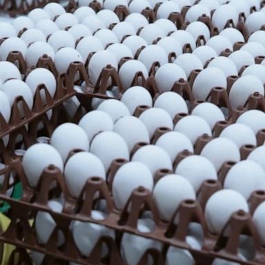 VIDEO: Egg prices skyrocket