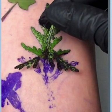 VIDEO: 'Botanical fingerprints' tattoos gain audience 