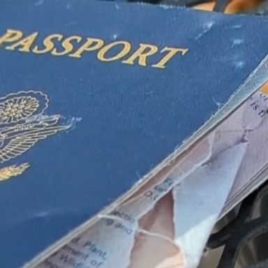 video: ‘The dog ate my passport’