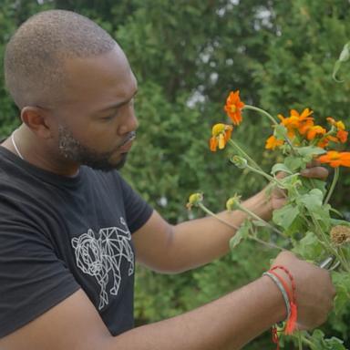 VIDEO: Journey of a rose