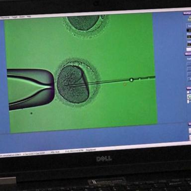 VIDEO: 3rd clinic pauses IVF treatment