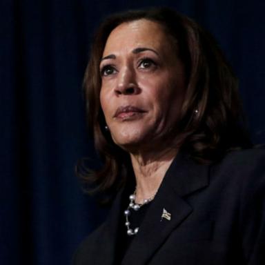 VIDEO: Majority of delegates endorse Harris