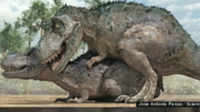 Dinosaur Sex Video Abc News