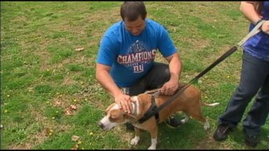 New Jersey Family Reunited with Pet Lost During Sandy