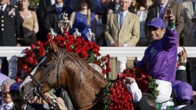 A Rags to Riches Story: California Chrome