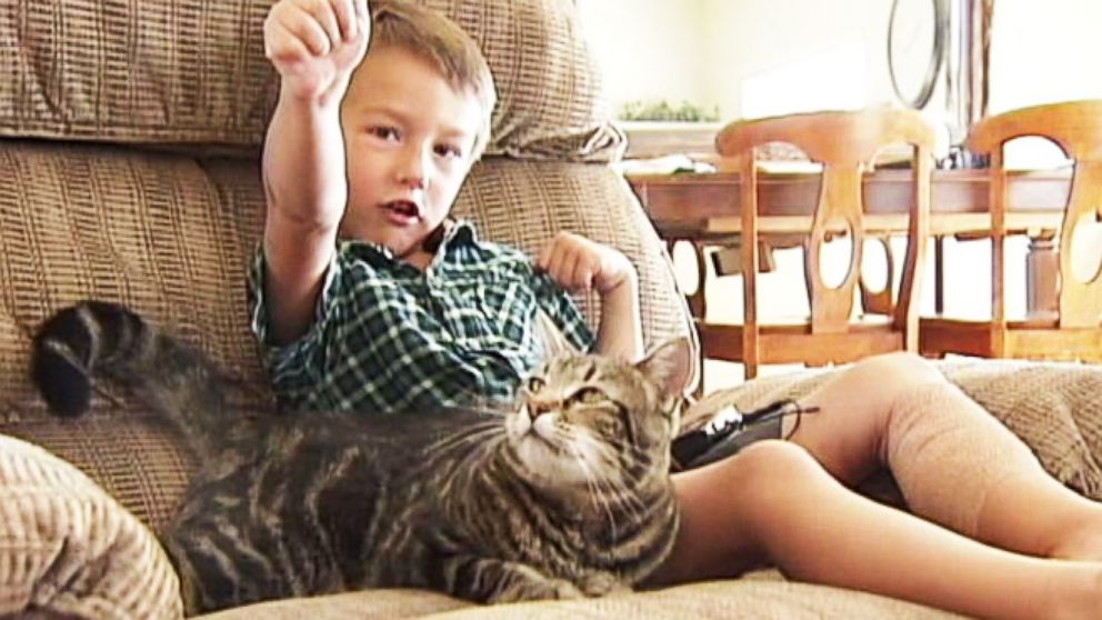 Cat Saves Little Boy From Being Attacked by Neighbor's Dog | GMA