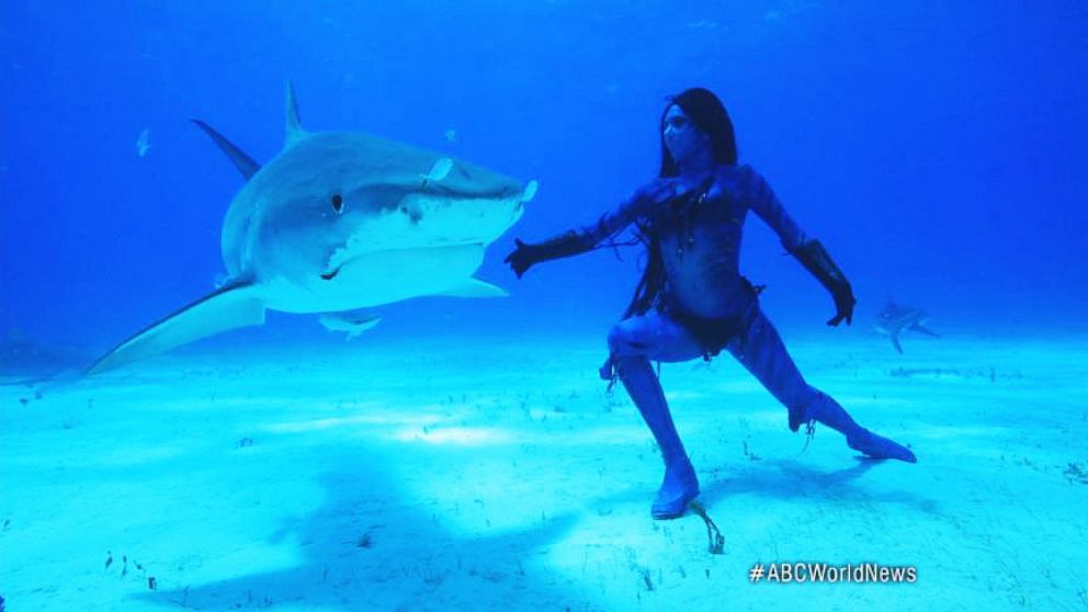 mermaids and sharks