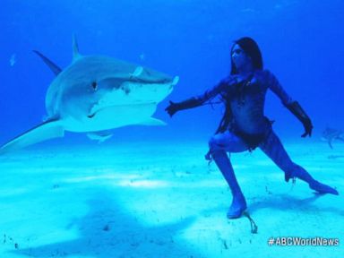 VIDEO: Professional Mermaid Swims With Real Sharks