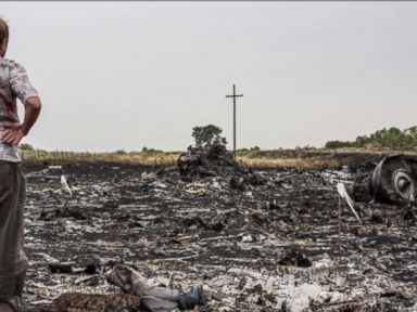 Downed Malaysia Airlines Flight MH17: The Disaster in the Sky 