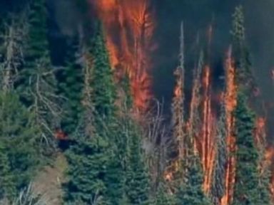 VIDEO: Drought-Plagued California in a State of Emergency After More Wildfires 