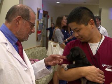 VIDEO: Pet Therapy for Doctors and Nurses 