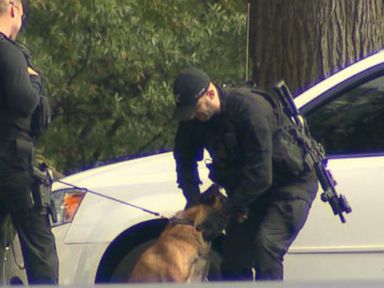 VIDEO: Attack Dogs Take Aim at White House Intruder