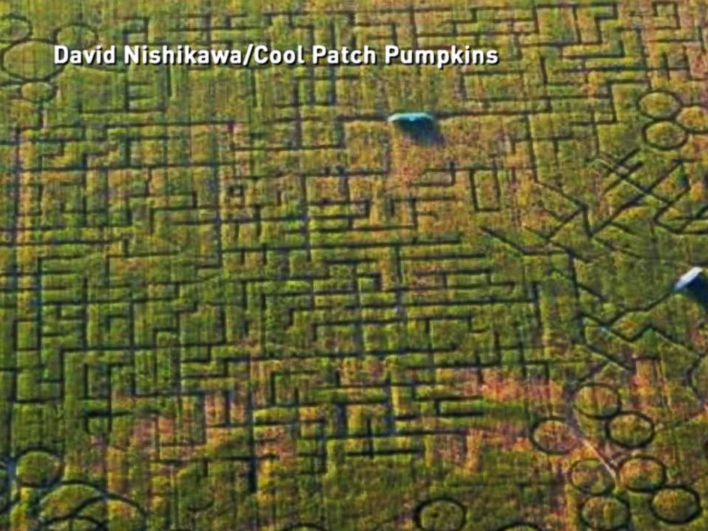 The Lost Challenges - Yearly Challenges: Corn Mazes Showing 1-50