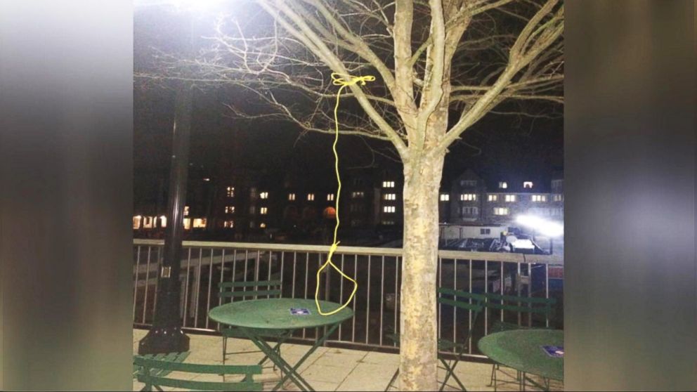 VIDEO: Duke University Investigates Noose Found Hanging From a Tree on Campus